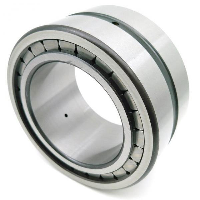 SL183004 Sheave Bearing 2 Rows Full Complement Bearings with Inner Ring 20x42x16mm
