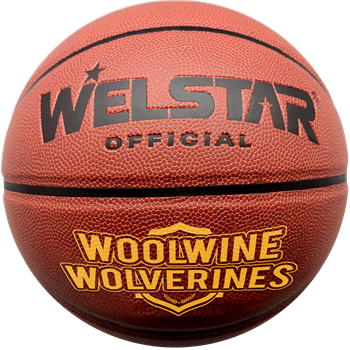 Full Size Synthetic Leather Basketballs - Pad Printed