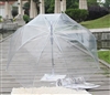 Custom Transparent Umbrella