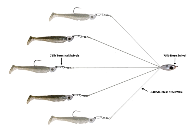 Close Out Junior School-E-Rig