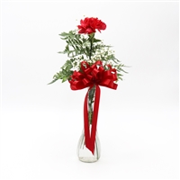 Single carnation in vase with filler