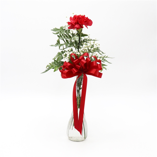 Single carnation in vase with filler