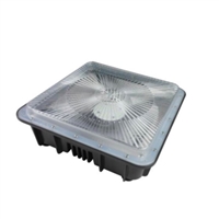 4 pack CANOPY LIGHT 5000K-75W