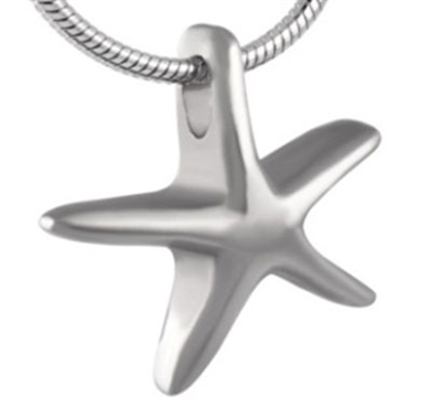 Simple Stainless Steel Starfish