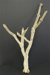 Sandblasted Cholla Branch, 24"-30"