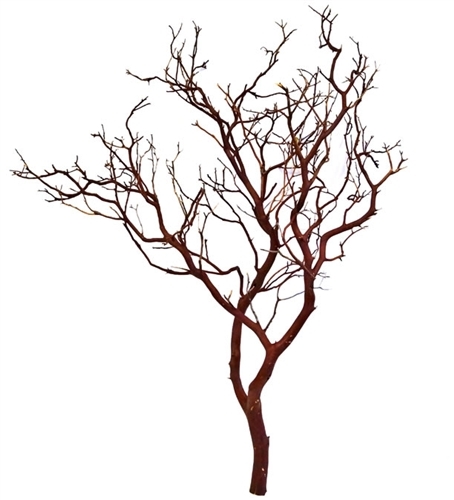 Standard Manzanita Branches, 30" Tall