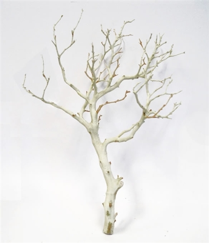 Sandblasted Manzanita Branches, 14" tall