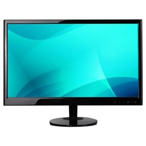 19" Surveillance Monitor