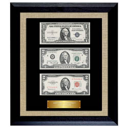 Historic Currency Collection in Currency Frame