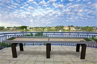 Outdoor Shuffleboard Table