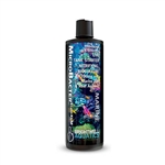 Brightwell Aquatics MicroBacter StartXLM 250 ml