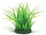 Small BiOrb Easy Plant Grass Ring