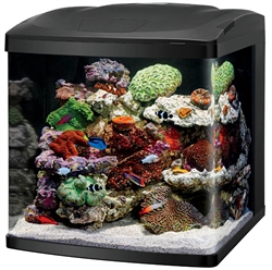 Coralife NEW STYLE Size 32 LED BioCube Aquarium
