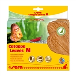 Sera Catappa Leaves M