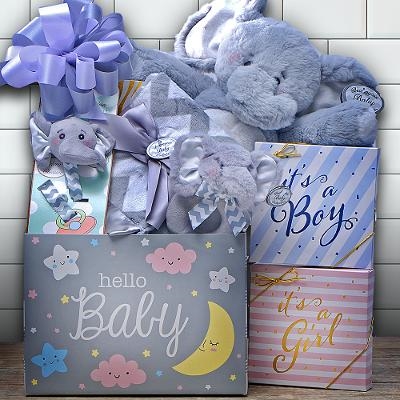 Hello Baby Gift Basket