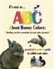 ABC About Bunny Colors