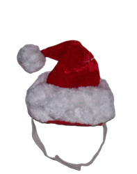 Santa Hat for Bunnies