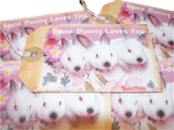 Some Bunny Loves You Gift Tags