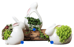 Bunny Garden Succulent Planting Pots