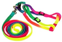 Bunny Harness Leash Set