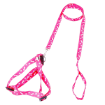 Bunny Harness Leash Set