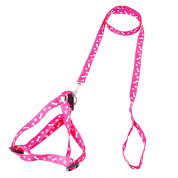 Bunny Harness Leash Set