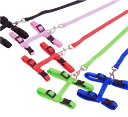 H Style Harness and Leash for Rabbit Jumping