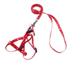 Bunny Harness Leash Set