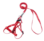 Bunny Harness Leash Set