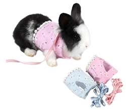 Small Animal Harness/Leash