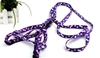 Bunny Harness Leash Set