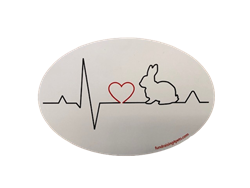 Rabbit Heartbeat Car Magnet