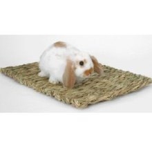 Peter's Rabbit Grass Mat