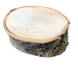 XL Willow Tree Chew Block