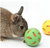 Small Animal Treat Ball Slow Feeder - 3 Colors