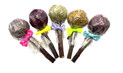 Small Animal Lollipops!