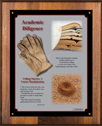 Academic Diligence- Plaque