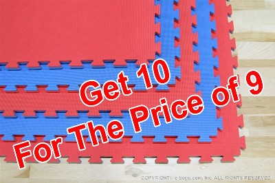 Premium Single Thickness Martial Arts Dojo Mat 1'' x 40" X 40" (25 MM x 100 CM X 100 CM) Red and Blue Reversible