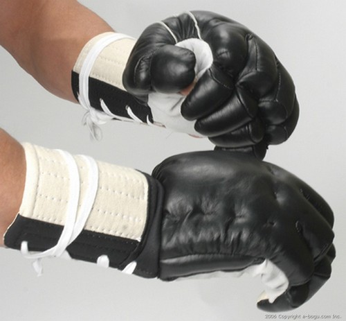 Black Leather Kenpo Gloves