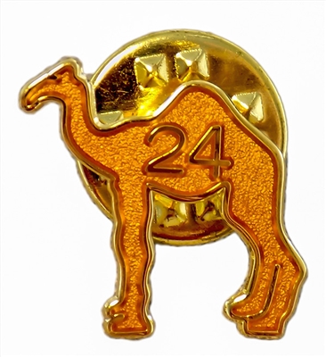 A golden sparkle painted camel pin with the number 24 in the center