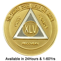 Alcoholics Anonymous | Gold & Silver Bi-Plate Anniversary Medallion | $14.00 | Features: the circle-triangle AA logo with the Roman numeral in the center.