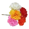 Carnation Pick Assorted. 0406250