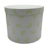 Lime Butterfly Hat Box