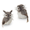 RAZ - 5 inch Owl Ornament - Set of 2