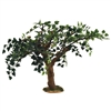 Roman Fontanini - Fig Tree 11.75 Inch