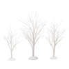 White Bare Branch Trees