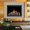 Napoleon HD46, Napoleon HD46 Gas Fireplace, Napoleon HD46 Direct Vent Gas Fireplace, HD46 Gas Fireplace, Napoleon HD46 Direct Vent Gas Fireplace Clean Face HD Series