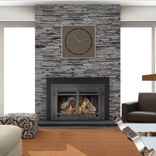 Gas Fireplace Inserts by Napoleon Model XIR4