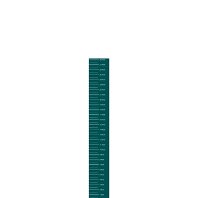 Prologis Giant Ruler