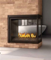 Napoleon Ascent Multi-View Direct Vent Fireplace